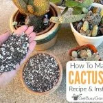 How To Make Your Own Cactus Soil