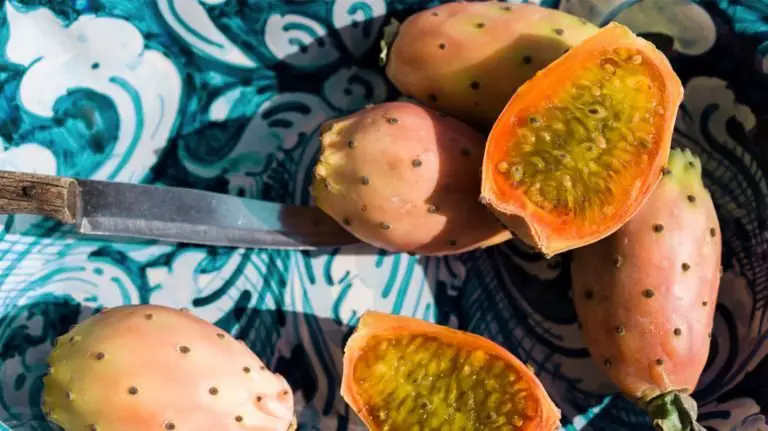 Are Cactus Fruits Good For You